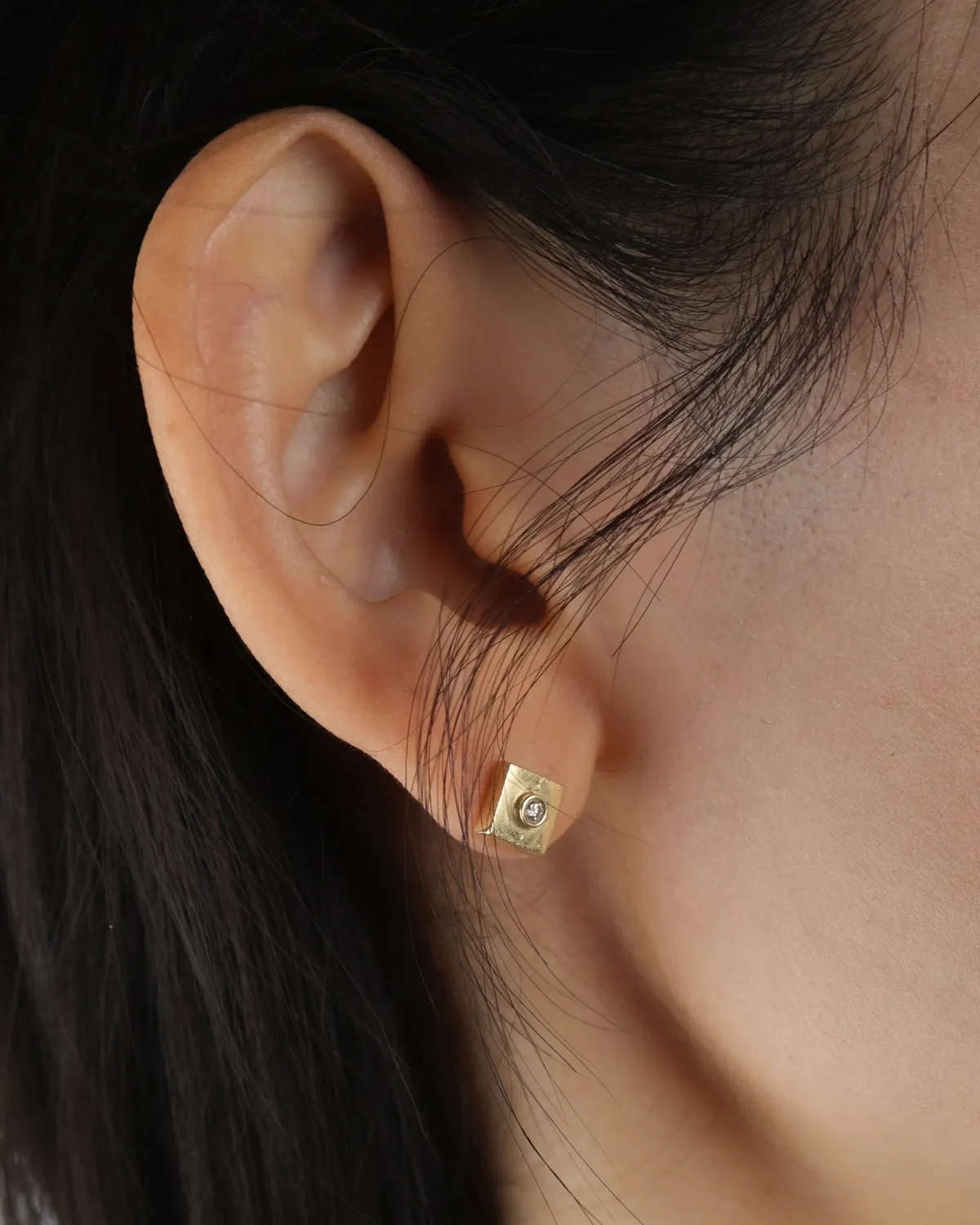 14k Gold x Diamonds Earrings