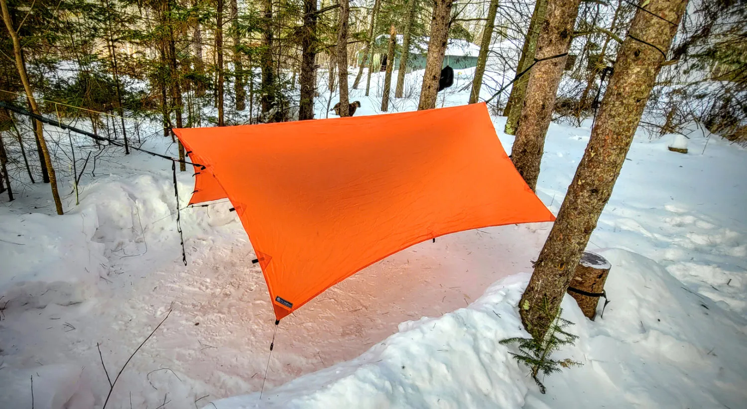 Apex Camping Shelter 2.0