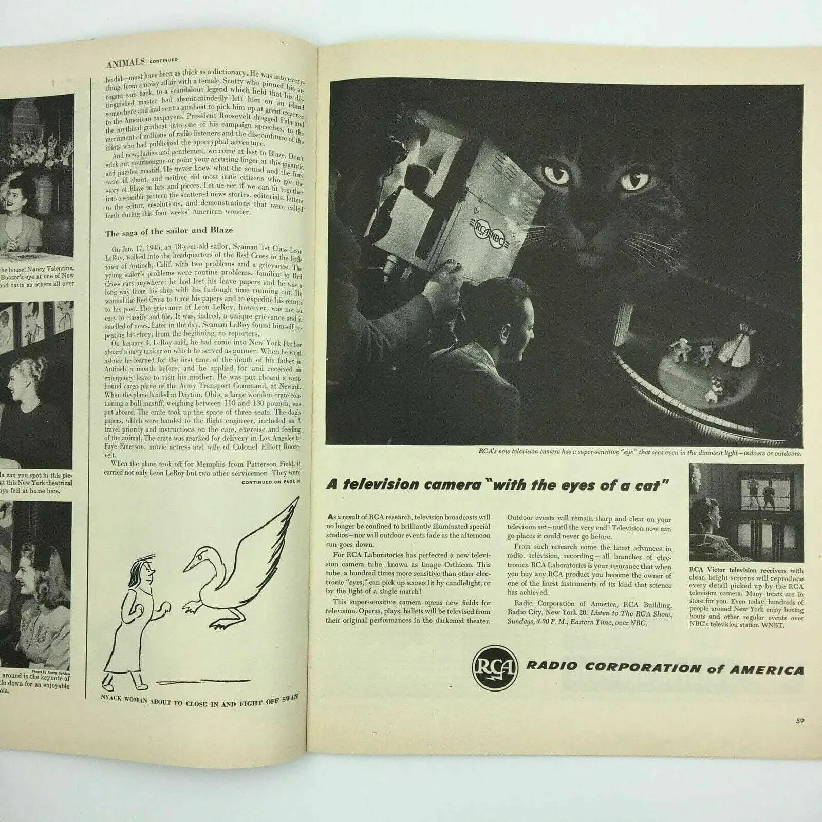 Charming Cardinal-Designate Spellman Vintage Life Magazine - Very Good - January 1946