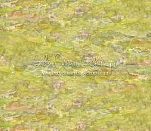 Country Side Floor-rf