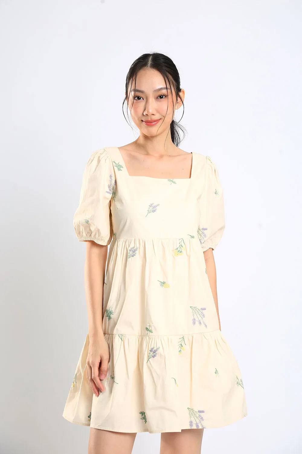 Erena Embroidered Dress in Apricot