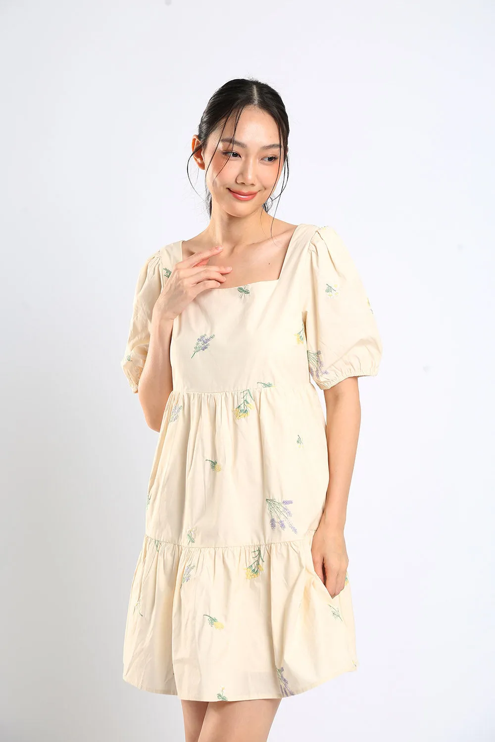 Erena Embroidered Dress in Apricot