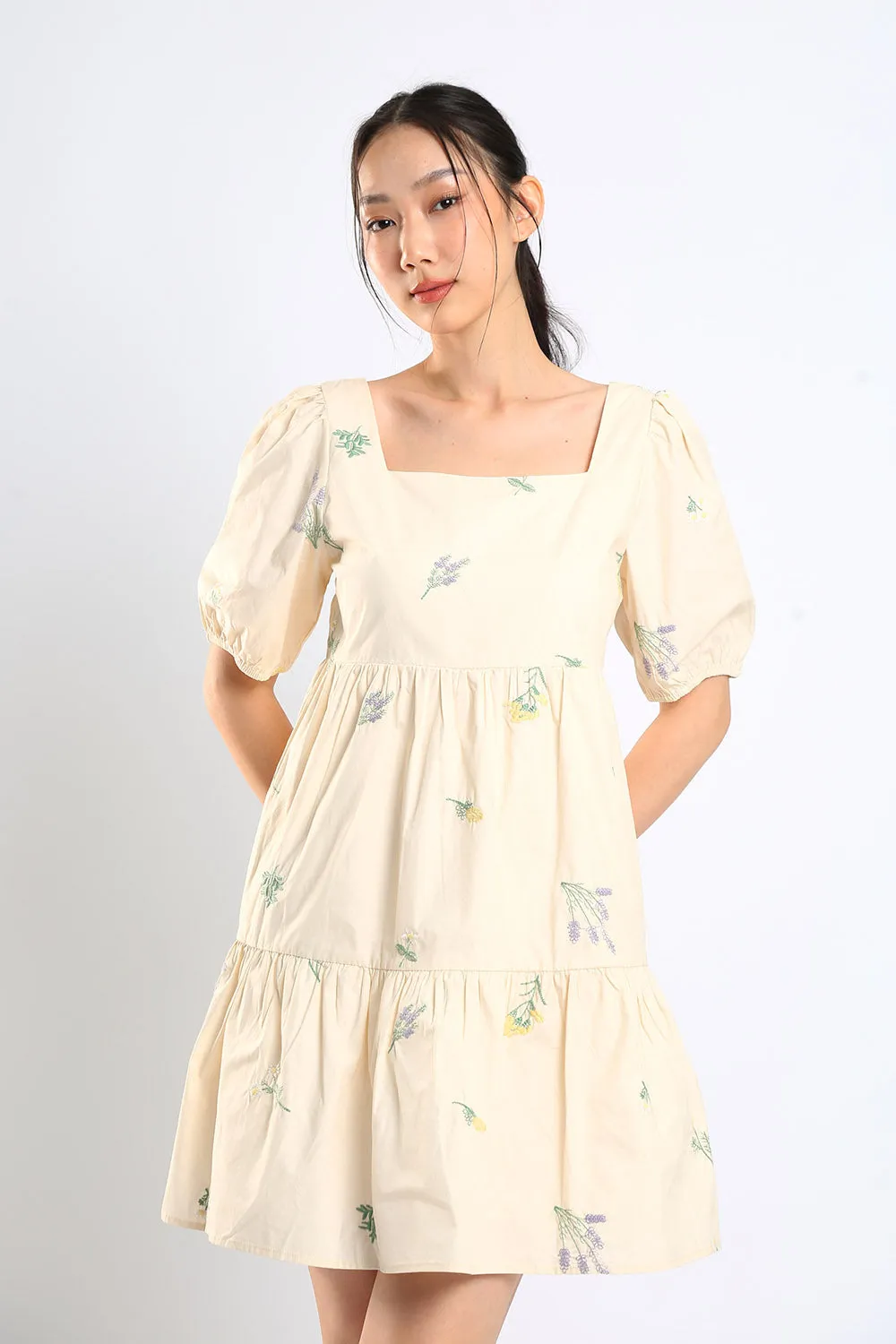 Erena Embroidered Dress in Apricot