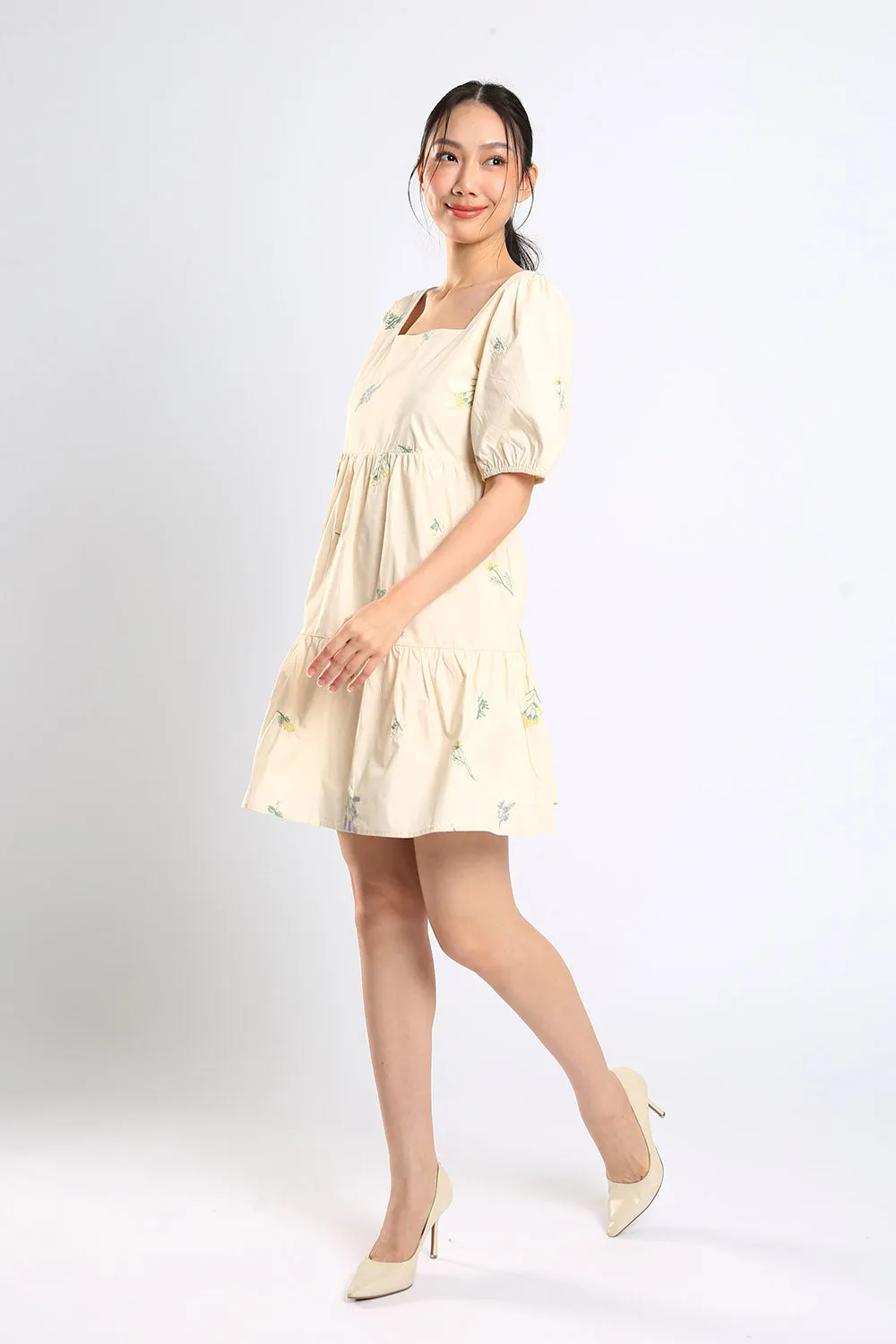 Erena Embroidered Dress in Apricot