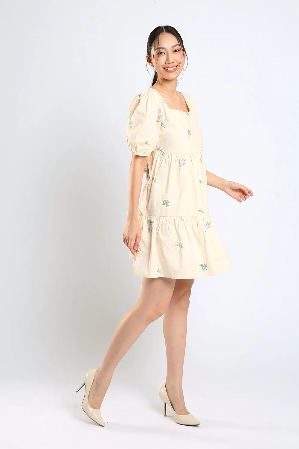 Erena Embroidered Dress in Apricot