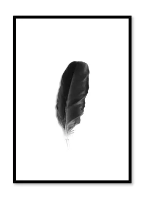 Fine Feather, Poster