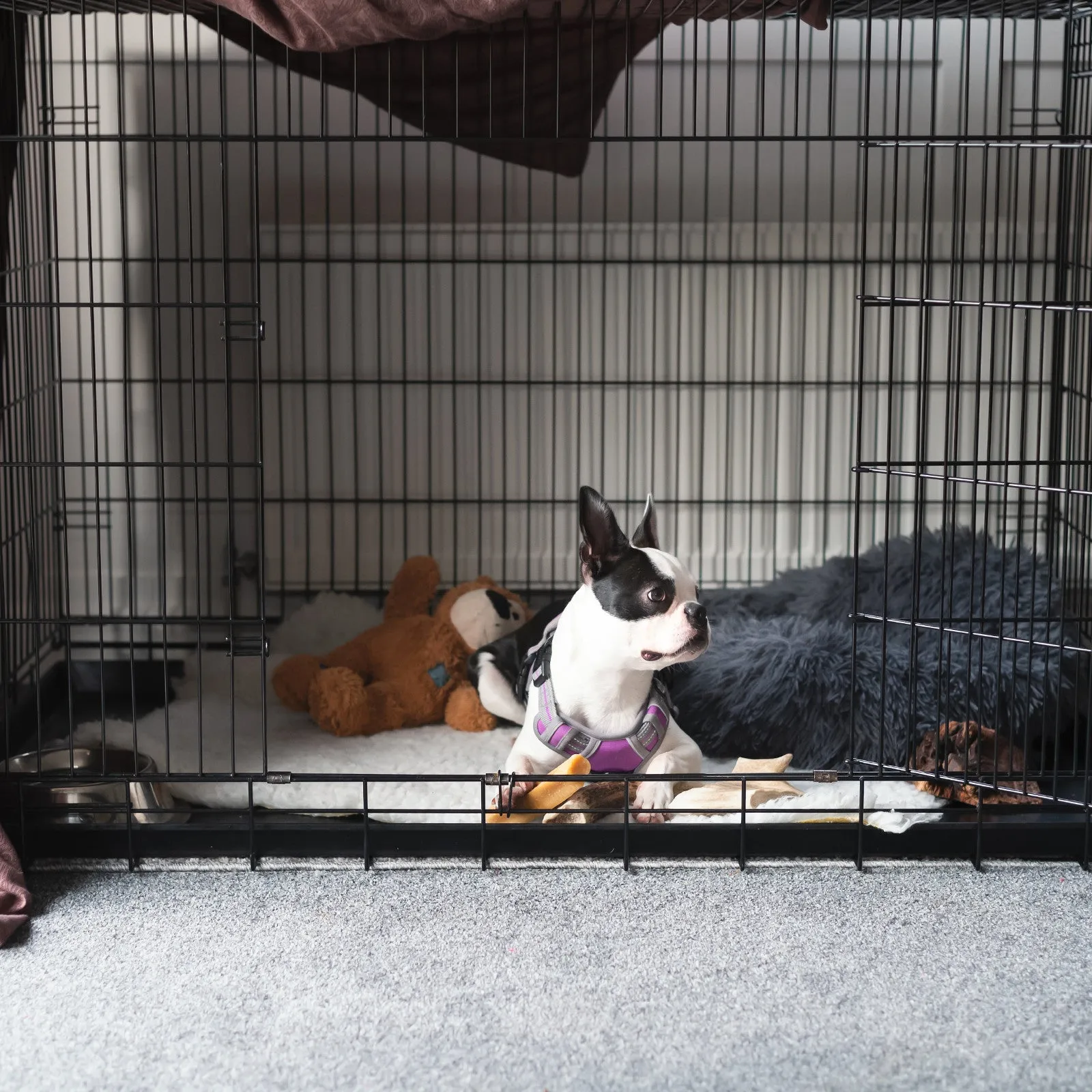 Foldable Metal Pet Cage with ABS Tray, 3 Doors - 36" 4Paws