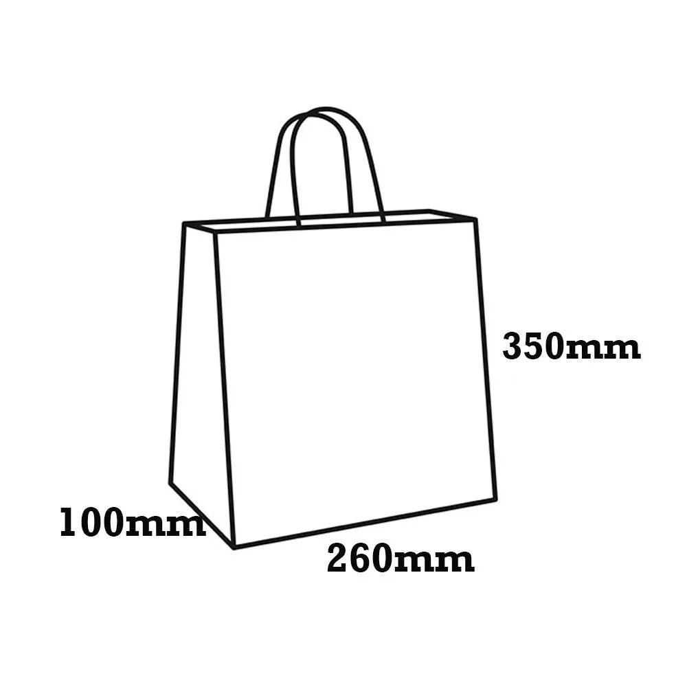 Retail Takeaway Kraft Twisted Handle Paper Bag - Medium H350