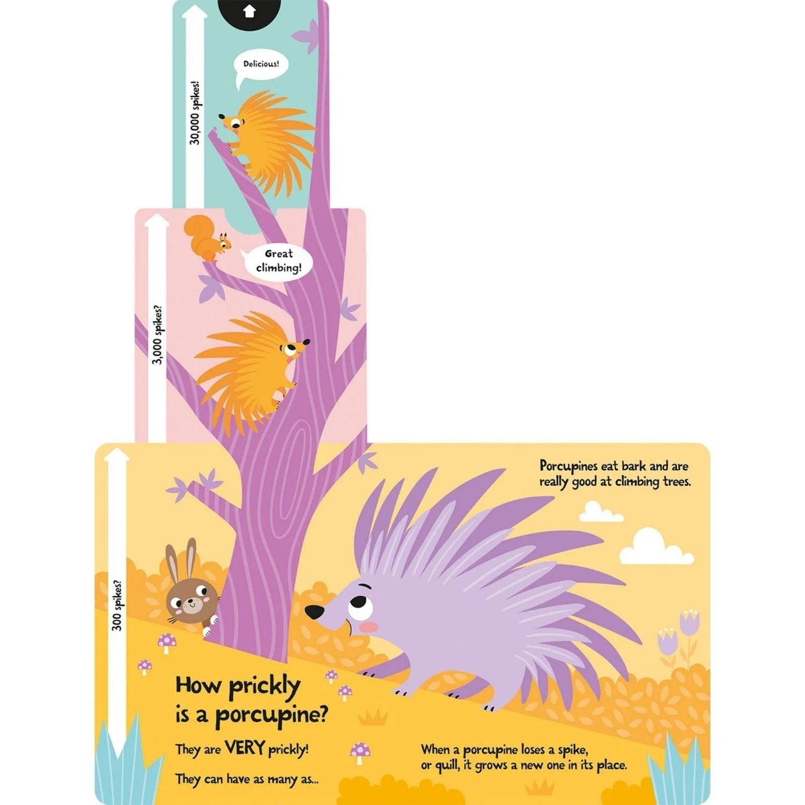 Slide and Seek Book: How Wide is a Whale?