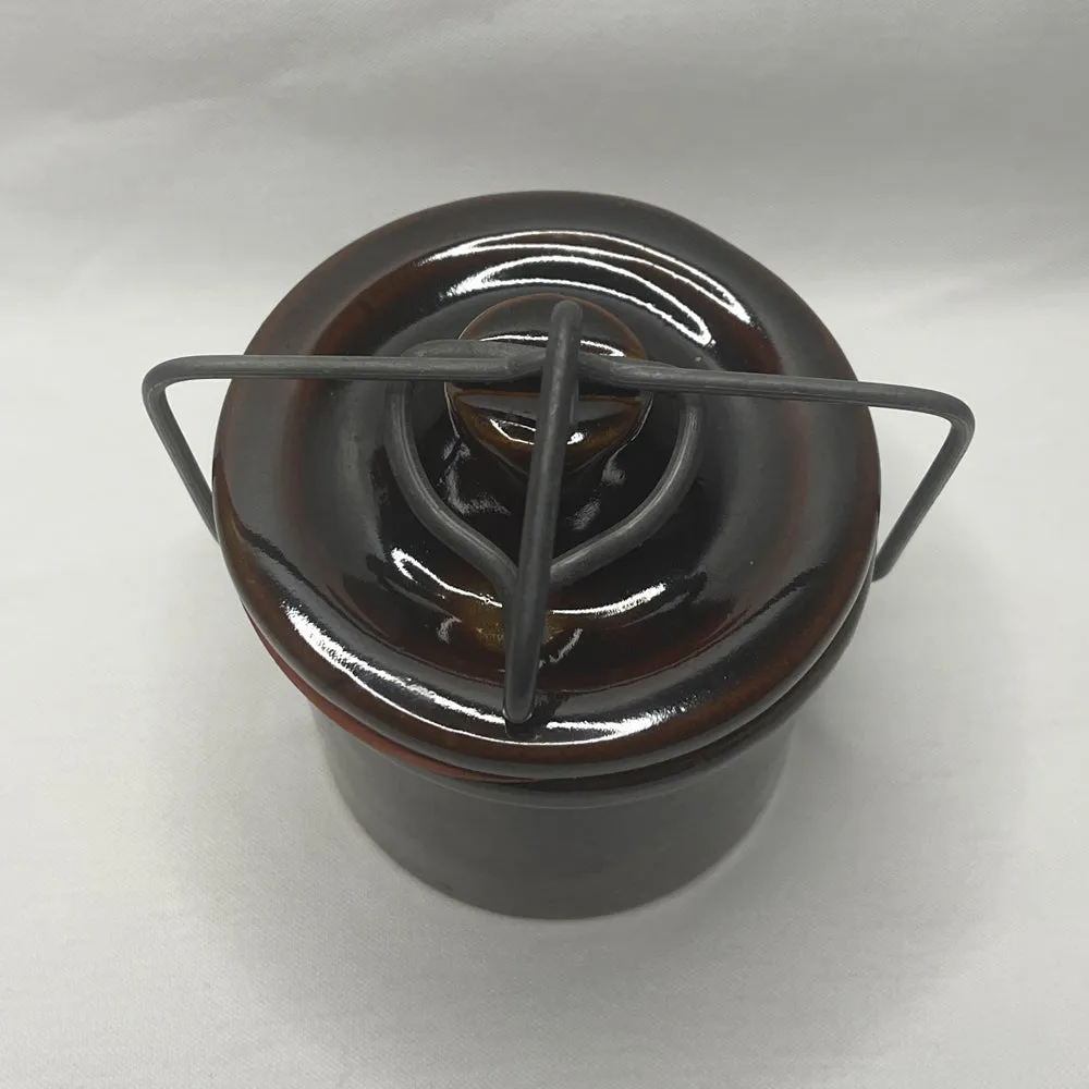 Small Stoneware Crock with Wire Bail Closure