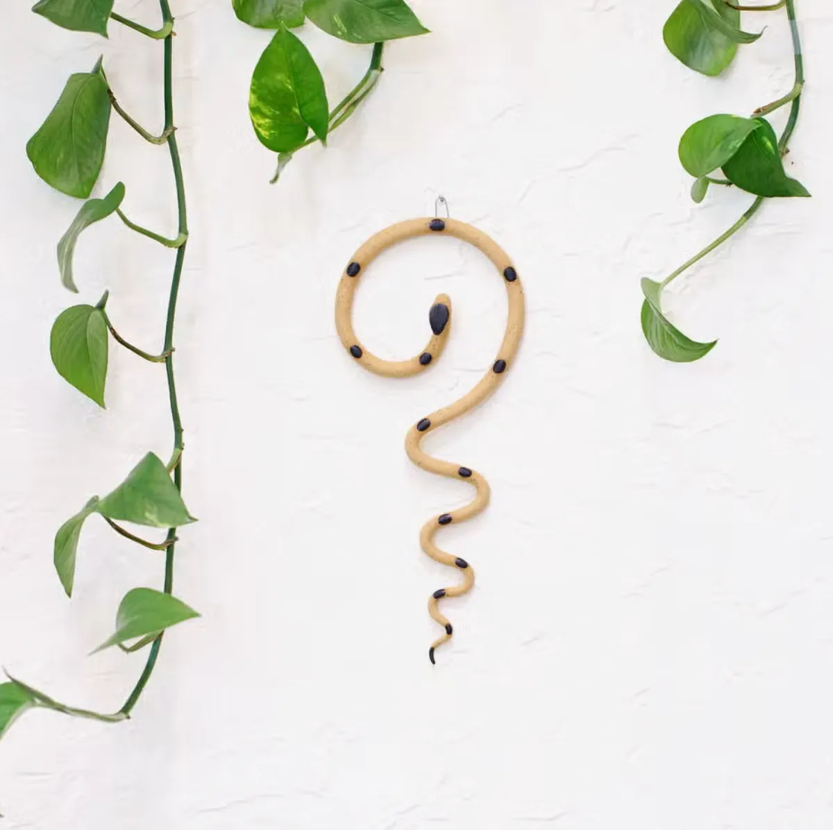 Wall Snake