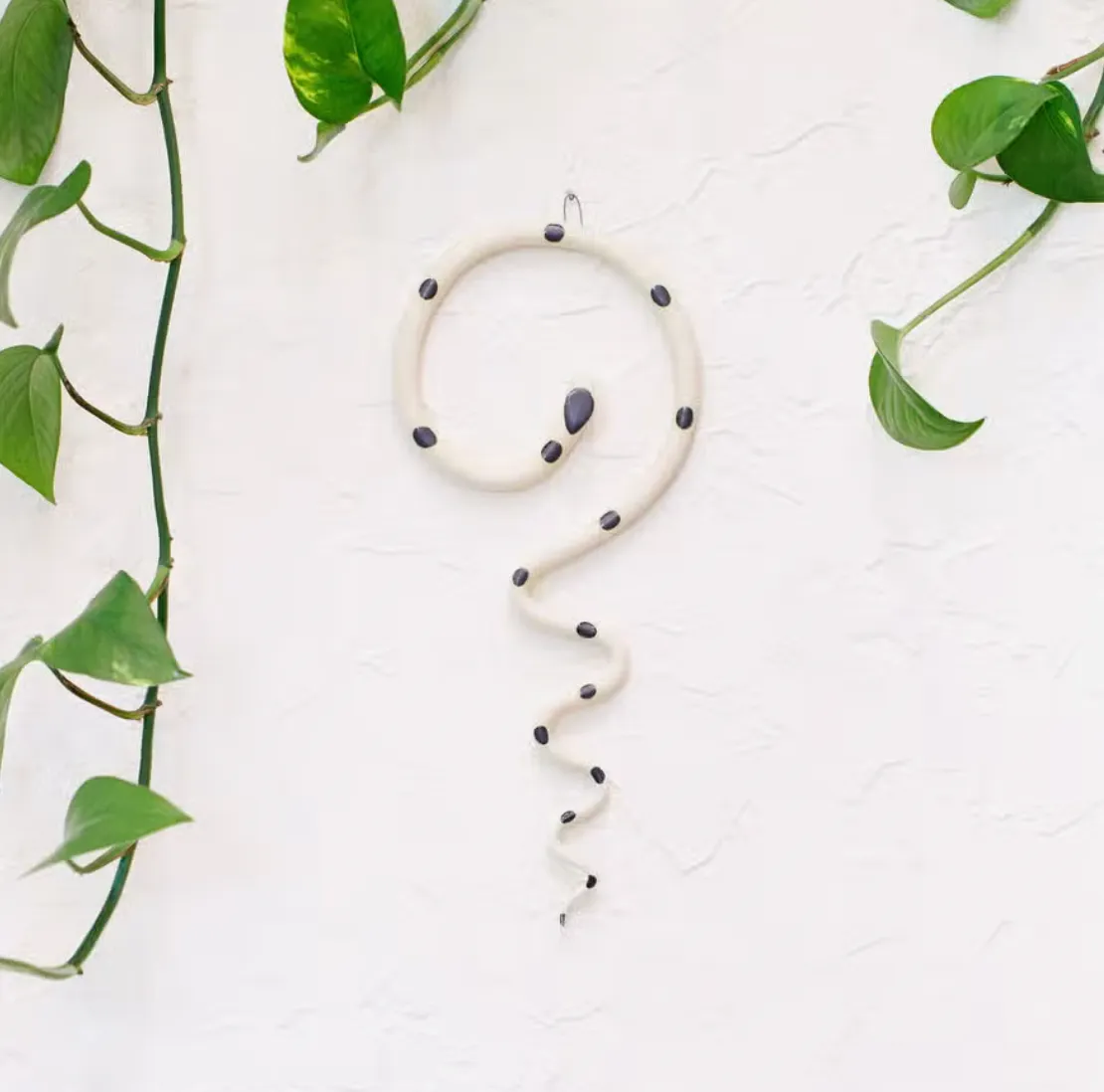 Wall Snake
