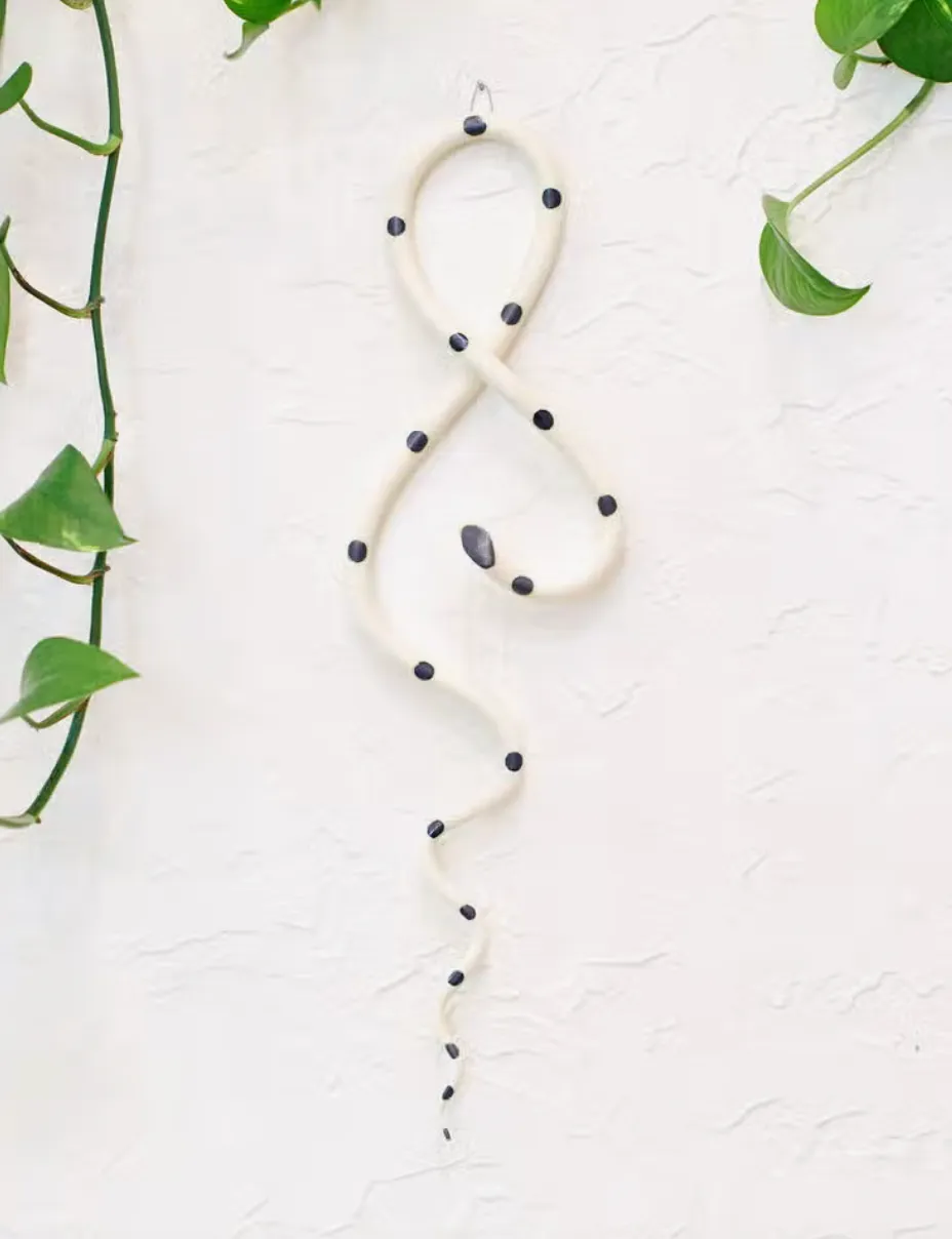 Wall Snake