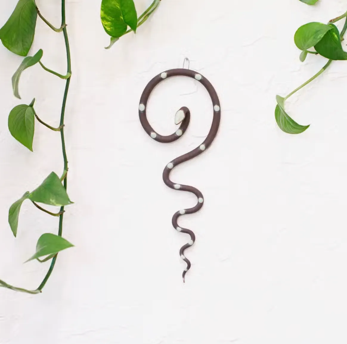 Wall Snake